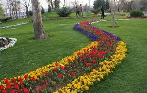استعلام مناقصه واگذاری نگهداری فضای سبز