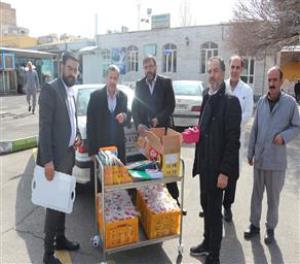 گروهی از جوانان خودجوش تبریزی