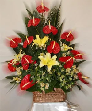 روز پزشک (96)