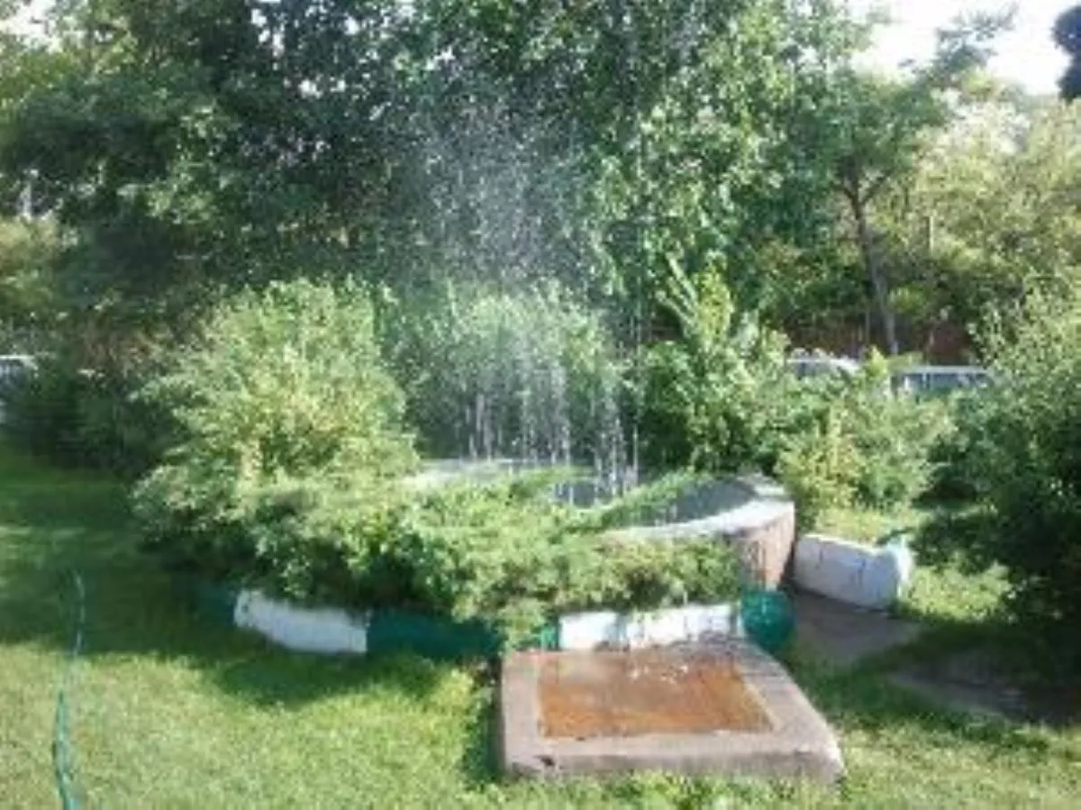 فضای سبز مرکز